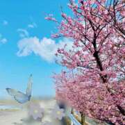 ヒメ日記 2026/03/09 11:42 投稿 まゆこ奥様 金沢の20代30代40代50代が集う人妻倶楽部