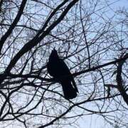 ヒメ日記 2026/03/21 06:42 投稿 まゆこ奥様 金沢の20代30代40代50代が集う人妻倶楽部