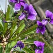 ヒメ日記 2026/04/15 06:42 投稿 まゆこ奥様 金沢の20代30代40代50代が集う人妻倶楽部