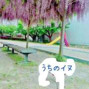 ヒメ日記 2026/05/01 18:09 投稿 まゆこ奥様 金沢の20代30代40代50代が集う人妻倶楽部