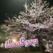 ヒメ日記 2025/04/13 00:03 投稿 工藤(くどう)奥様 金沢の20代30代40代50代が集う人妻倶楽部