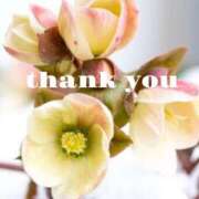 ヒメ日記 2026/01/05 06:18 投稿 工藤(くどう)奥様 金沢の20代30代40代50代が集う人妻倶楽部