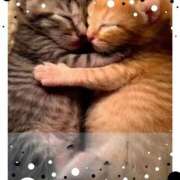 ヒメ日記 2026/01/05 08:48 投稿 工藤(くどう)奥様 金沢の20代30代40代50代が集う人妻倶楽部