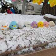 【あずさ】黒髪スレンダー生徒 出勤です❤ コーチと私と、ビート板･･･