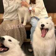 ヒメ日記 2025/03/14 12:04 投稿 あん 奥鉄オクテツ東京店（デリヘル市場）