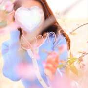 ヒメ日記 2025/03/31 18:02 投稿 あん 奥鉄オクテツ東京店（デリヘル市場）