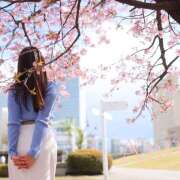 ヒメ日記 2025/04/13 08:55 投稿 あん 奥鉄オクテツ東京店（デリヘル市場）