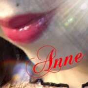 ヒメ日記 2025/11/24 13:46 投稿 あん 奥鉄オクテツ東京店（デリヘル市場）