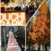 ヒメ日記 2025/12/03 19:08 投稿 あん 奥鉄オクテツ東京店（デリヘル市場）