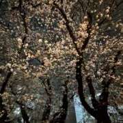 ヒメ日記 2025/04/07 13:34 投稿 翔-しょう【FG系列】 ほんとうの人妻 厚木店【FG系列】