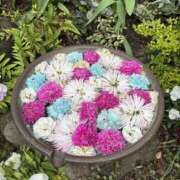 ヒメ日記 2025/04/24 11:50 投稿 翔-しょう【FG系列】 ほんとうの人妻 厚木店【FG系列】