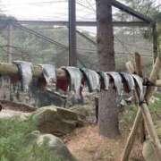 ヒメ日記 2025/06/13 18:50 投稿 翔-しょう【FG系列】 ほんとうの人妻 厚木店【FG系列】