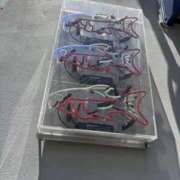 ヒメ日記 2025/07/25 17:46 投稿 翔-しょう【FG系列】 ほんとうの人妻 厚木店【FG系列】