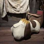 ヒメ日記 2025/08/01 12:00 投稿 翔-しょう【FG系列】 ほんとうの人妻 厚木店【FG系列】