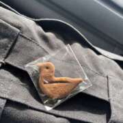 ヒメ日記 2025/10/06 13:49 投稿 翔-しょう【FG系列】 ほんとうの人妻 厚木店【FG系列】