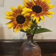 ヒメ日記 2025/10/14 19:00 投稿 翔-しょう【FG系列】 ほんとうの人妻 厚木店【FG系列】