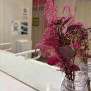 ヒメ日記 2025/10/16 10:50 投稿 翔-しょう【FG系列】 ほんとうの人妻 厚木店【FG系列】