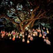 ヒメ日記 2025/11/13 21:00 投稿 翔-しょう【FG系列】 ほんとうの人妻 厚木店【FG系列】