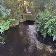 ヒメ日記 2025/11/18 09:50 投稿 翔-しょう【FG系列】 ほんとうの人妻 厚木店【FG系列】