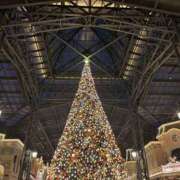 ヒメ日記 2025/11/26 14:00 投稿 翔-しょう【FG系列】 ほんとうの人妻 厚木店【FG系列】