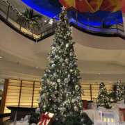 ヒメ日記 2025/12/25 09:37 投稿 翔-しょう【FG系列】 ほんとうの人妻 厚木店【FG系列】