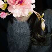 ヒメ日記 2026/01/01 23:00 投稿 翔-しょう【FG系列】 ほんとうの人妻 厚木店【FG系列】