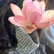 ヒメ日記 2026/01/10 16:25 投稿 翔-しょう【FG系列】 ほんとうの人妻 厚木店【FG系列】