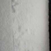 ヒメ日記 2026/02/10 11:00 投稿 翔-しょう【FG系列】 ほんとうの人妻 厚木店【FG系列】