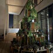 ヒメ日記 2026/02/13 18:50 投稿 翔-しょう【FG系列】 ほんとうの人妻 厚木店【FG系列】