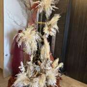 ヒメ日記 2026/02/24 10:50 投稿 翔-しょう【FG系列】 ほんとうの人妻 厚木店【FG系列】