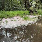 ヒメ日記 2026/04/07 18:50 投稿 翔-しょう【FG系列】 ほんとうの人妻 厚木店【FG系列】