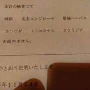 ヒメ日記 2023/11/24 21:29 投稿 さら 極妻 ～極上な人妻達～