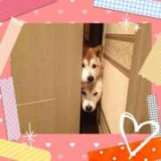 ヒメ日記 2025/02/24 15:19 投稿 みか モアグループ神栖人妻花壇