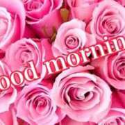 ヒメ日記 2025/12/29 11:03 投稿 みか モアグループ神栖人妻花壇