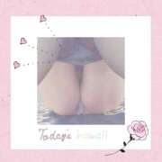 ヒメ日記 2026/01/29 18:53 投稿 みか モアグループ神栖人妻花壇