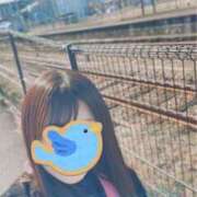 ヒメ日記 2025/01/16 16:42 投稿 琴宮響子 札幌ソフィア