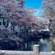 ヒメ日記 2025/04/28 14:19 投稿 琴宮響子 札幌ソフィア