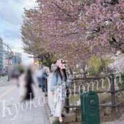 ヒメ日記 2025/05/11 13:28 投稿 琴宮響子 札幌ソフィア