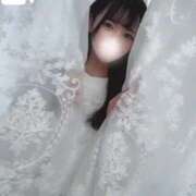 ヒメ日記 2025/11/26 20:05 投稿 KOKORO GINGIRA☆TOKYO～ギンギラ東京～