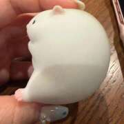 ヒメ日記 2025/12/16 00:34 投稿 KOKORO GINGIRA☆TOKYO～ギンギラ東京～