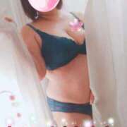 ヒメ日記 2026/06/20 11:50 投稿 みり 愛知三河安城岡崎ちゃんこ