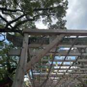 ヒメ日記 2025/08/30 13:08 投稿 こなつ ナイスレディ