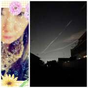 ヒメ日記 2025/01/08 14:03 投稿 あおい みやこ