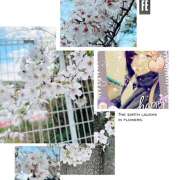 ヒメ日記 2025/04/09 11:21 投稿 あおい みやこ