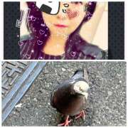 ヒメ日記 2025/04/21 12:36 投稿 あおい みやこ