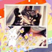 ヒメ日記 2025/05/09 14:06 投稿 あおい みやこ