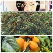 ヒメ日記 2025/06/13 11:19 投稿 あおい みやこ