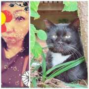 ヒメ日記 2025/09/24 12:35 投稿 あおい みやこ