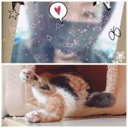 ヒメ日記 2025/11/03 12:02 投稿 あおい みやこ