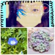 ヒメ日記 2026/03/13 12:11 投稿 あおい みやこ